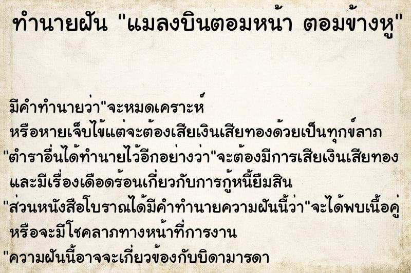 ทำนายฝัน แมลงบินตอมหน้า ตอมข้างหู ทำนายฝัน แมลงบินตอมหน้า ตอมข้างหู